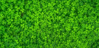 St. Patrick’s Day in Patent History | IP Law Firm | Harness IP Shamrocks and Patents for St. Patrick's Day