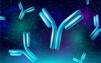 Antibody patent | Intellectual Property Law Firm | Harness IP